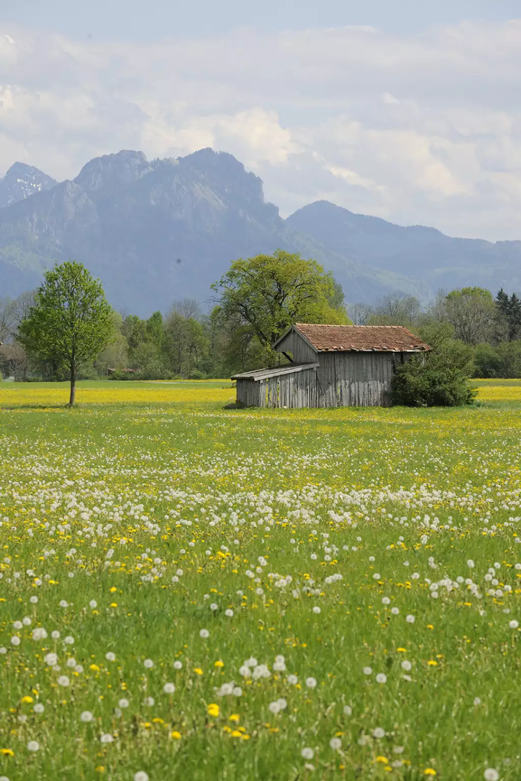 Urlaub nahe der Berge in der Natur Wandern Radfahren Eggstätter Seenplatte Oberbayern