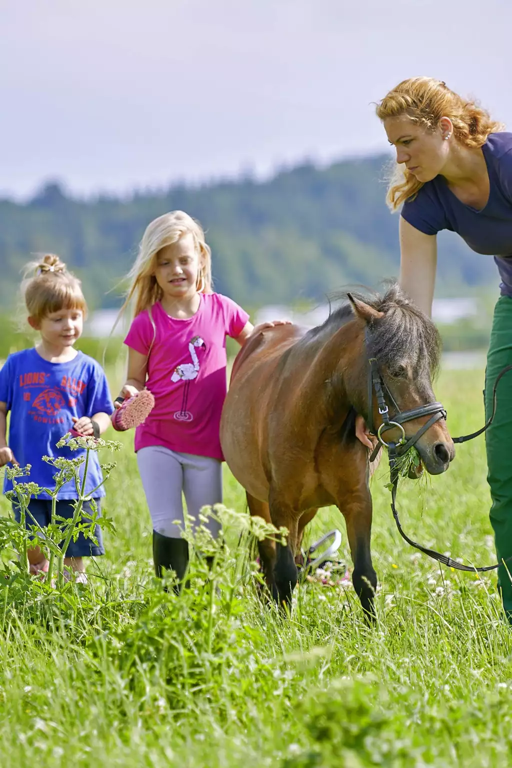 Ausflug mit den Ponys im Grünen Brötchenservice Frühstücksbuffet Luxus-Ferienwohnungen
