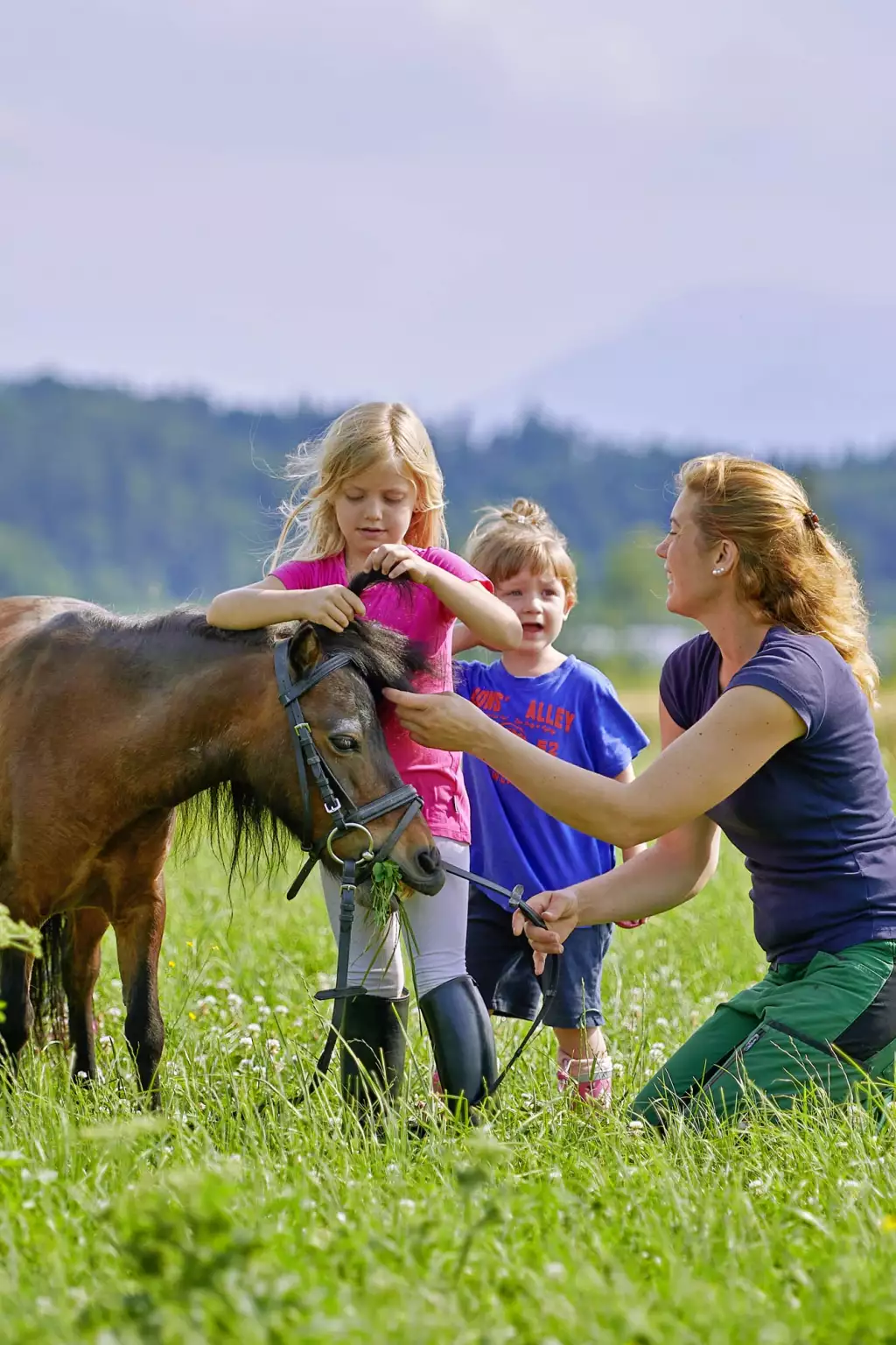 Ausflug mit den Ponys im Grünen Brötchenservice Frühstücksbuffet Luxus-Ferienwohnungen